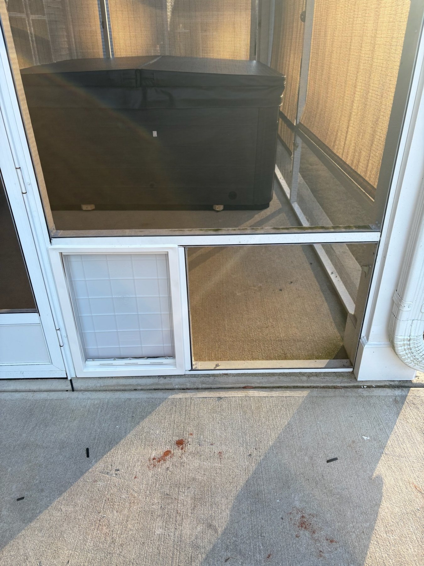 Stand-alone pet door framed into the lower section of an aluminum screen porch wall.